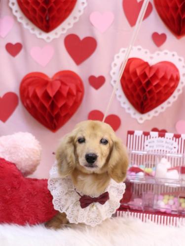 20240215バナナちゃん